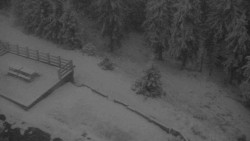 Přístup na běžeckou trať