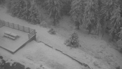 Přístup na běžeckou trať