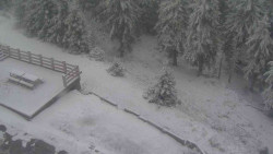 Přístup na běžeckou trať