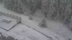 Přístup na běžeckou trať