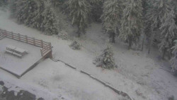 Přístup na běžeckou trať