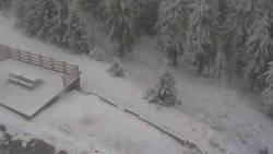 Přístup na běžeckou trať