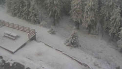 Přístup na běžeckou trať