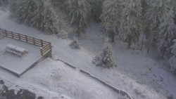 Přístup na běžeckou trať