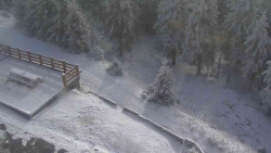 Přístup na běžeckou trať