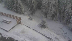 Přístup na běžeckou trať