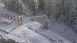 Přístup na běžeckou trať