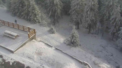 Přístup na běžeckou trať