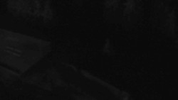 Přístup na běžeckou trať