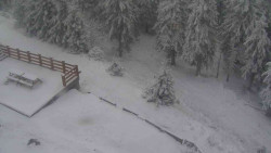 Přístup na běžeckou trať