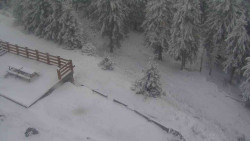 Přístup na běžeckou trať