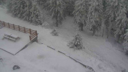 Přístup na běžeckou trať