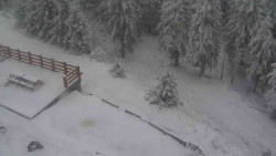 Přístup na běžeckou trať