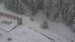 Přístup na běžeckou trať