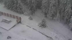 Přístup na běžeckou trať