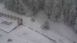 Přístup na běžeckou trať