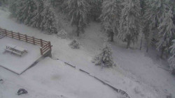 Přístup na běžeckou trať