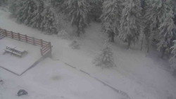 Přístup na běžeckou trať