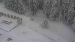 Přístup na běžeckou trať