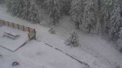 Přístup na běžeckou trať