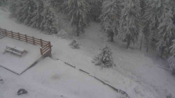 Přístup na běžeckou trať