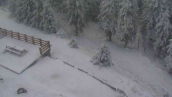 Přístup na běžeckou trať