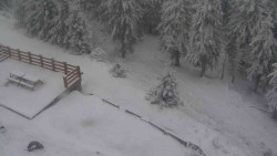 Přístup na běžeckou trať