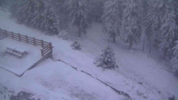 Přístup na běžeckou trať