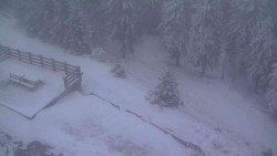 Přístup na běžeckou trať