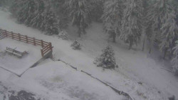 Přístup na běžeckou trať