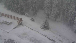 Přístup na běžeckou trať