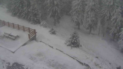 Přístup na běžeckou trať