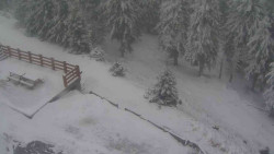 Přístup na běžeckou trať