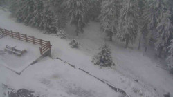 Přístup na běžeckou trať