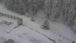 Přístup na běžeckou trať