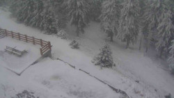 Přístup na běžeckou trať