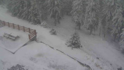 Přístup na běžeckou trať