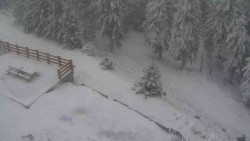 Přístup na běžeckou trať