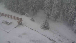 Přístup na běžeckou trať