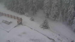 Přístup na běžeckou trať