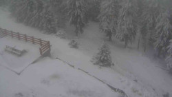 Přístup na běžeckou trať