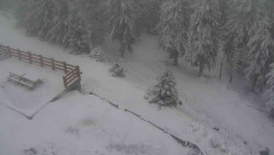 Přístup na běžeckou trať