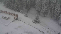 Přístup na běžeckou trať