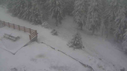 Přístup na běžeckou trať