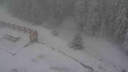 Přístup na běžeckou trať