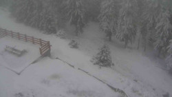 Přístup na běžeckou trať