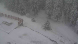 Přístup na běžeckou trať