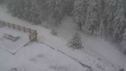 Přístup na běžeckou trať