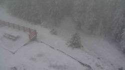 Přístup na běžeckou trať