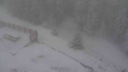 Přístup na běžeckou trať